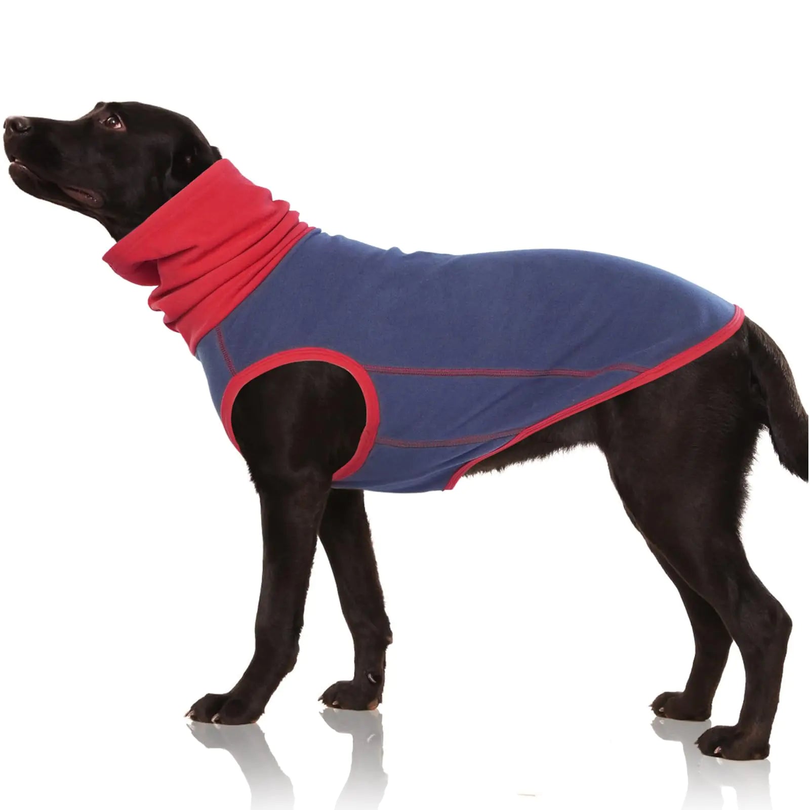 Dog Turtleneck Vest