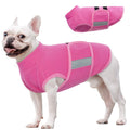 Dog Fleece Vest